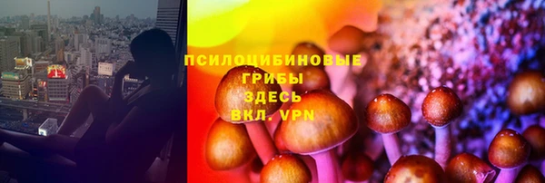 стаф Балабаново
