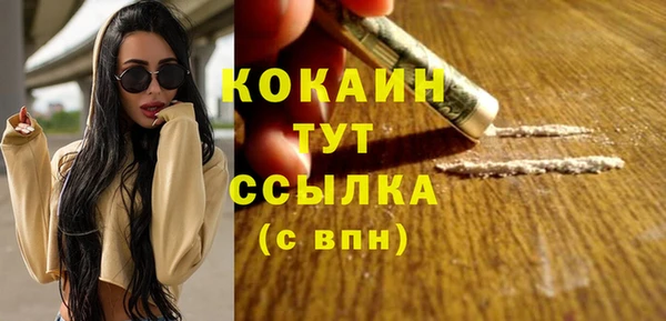крисы Балахна