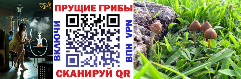 Галлюциногенные грибы прущие грибы  наркошоп  Печора 