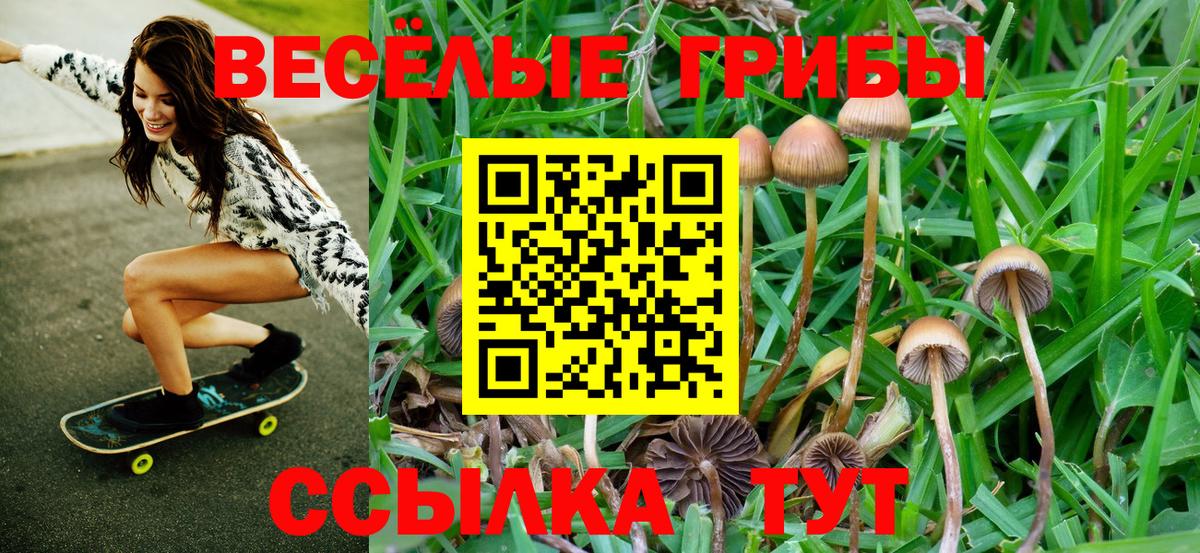 Галлюциногенные грибы MAGIC MUSHROOMS  Вход с VPN  Печора  Псилоцибиновые грибы Cubensis 