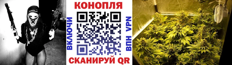 наркота  Печора  Бошки Шишки план 